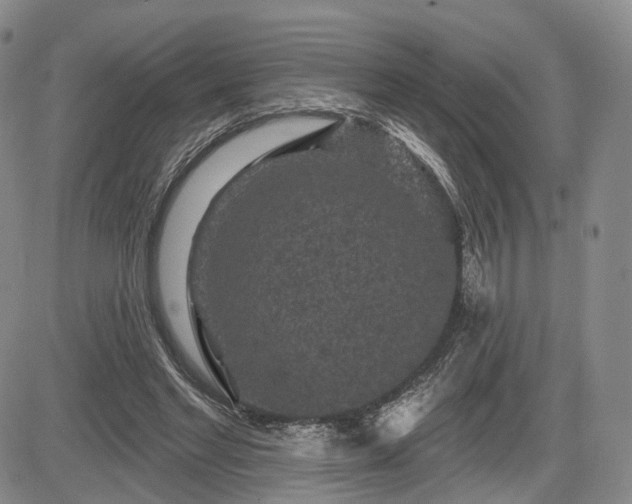 X0000084560493200703021427