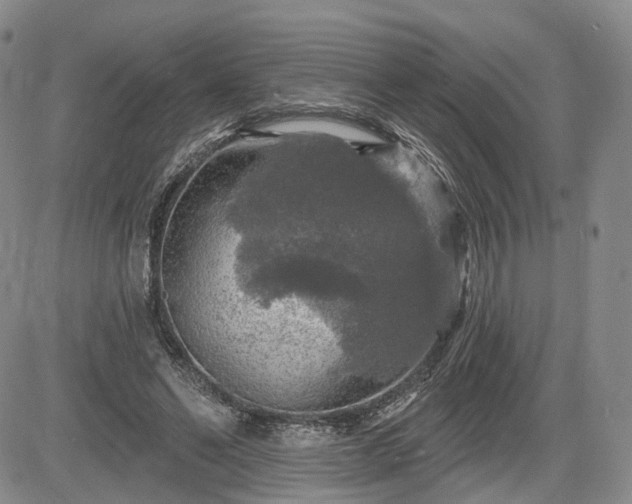 X0000084560494200703021427