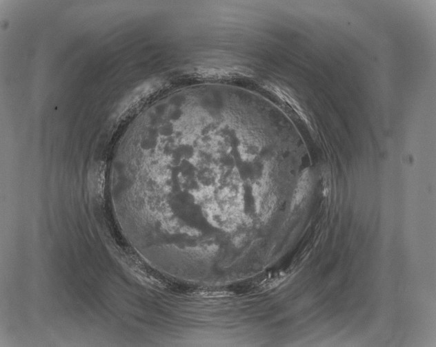 X0000084560495200703021427