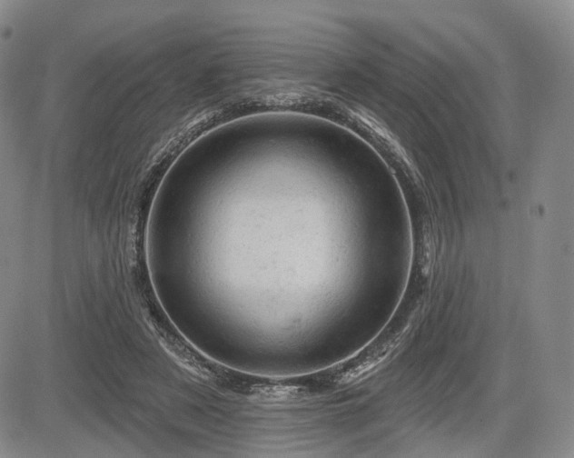 X0000084560497200703021427