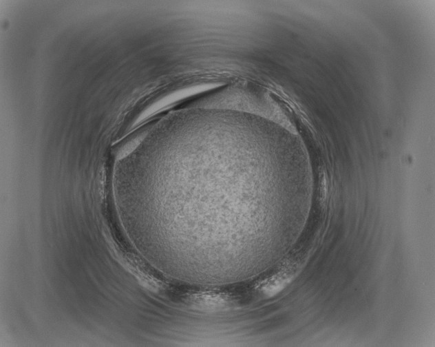 X0000084560498200703021427