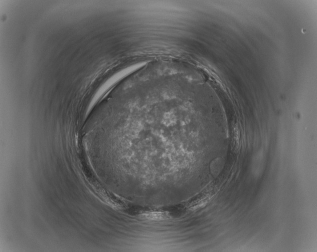 X0000084560499200703021427