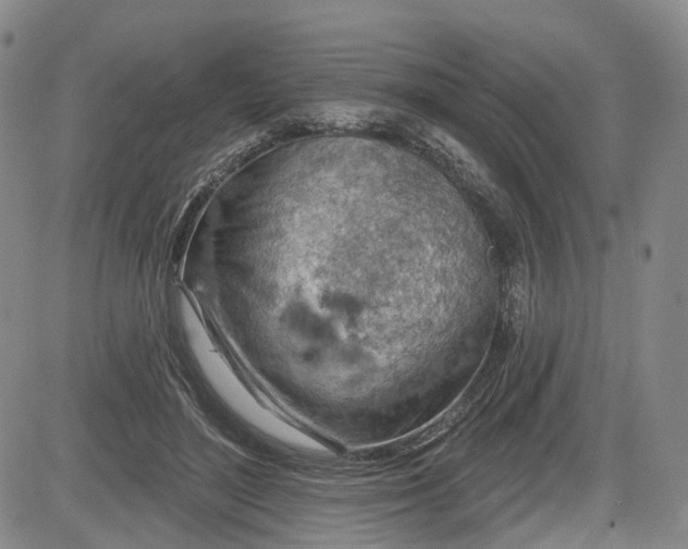 X0000084560500200703021427