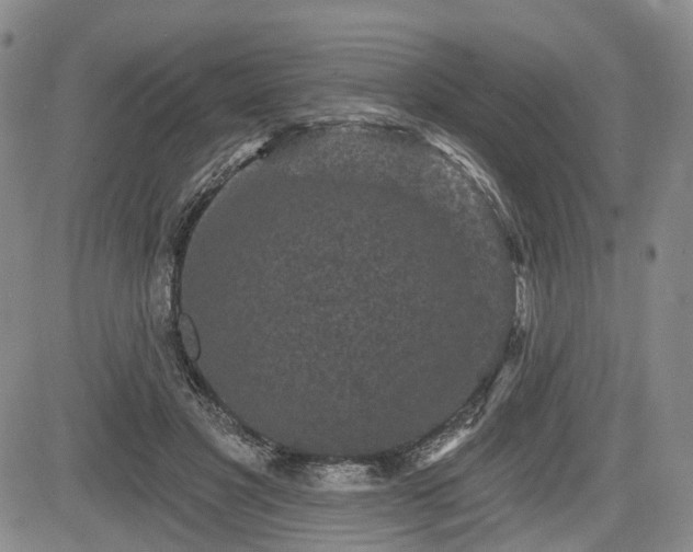 X0000084560501200703021427