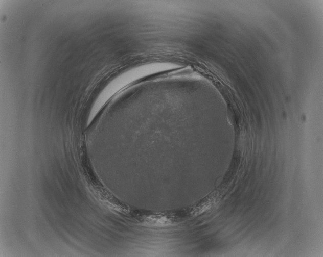 X0000084560502200703021427