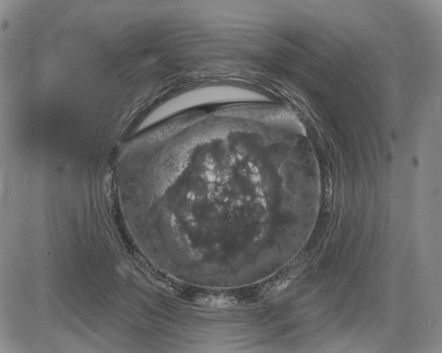 X0000084560503200703021427