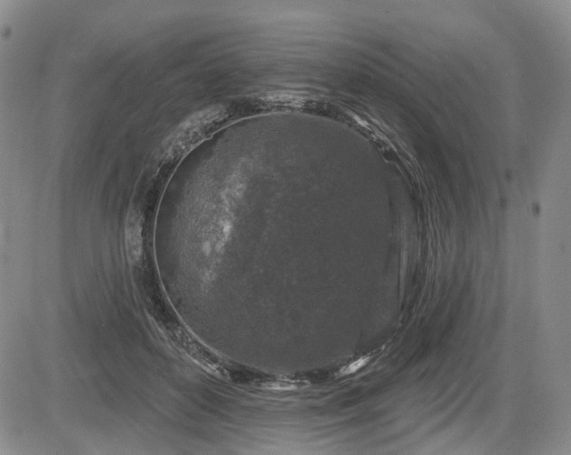 X0000084560504200703021427