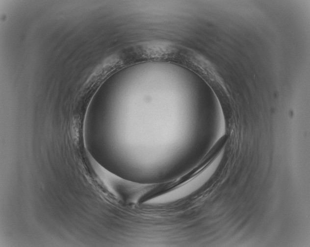 X0000084560505200703021427