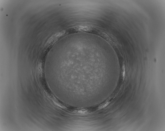 X0000084560506200703021427