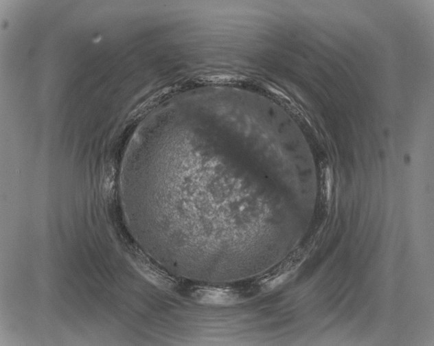 X0000084560507200703021427