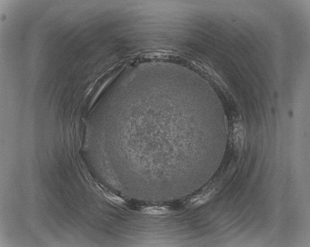 X0000084560508200703021427