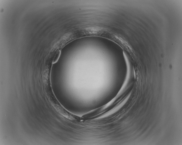 X0000084560509200703021427