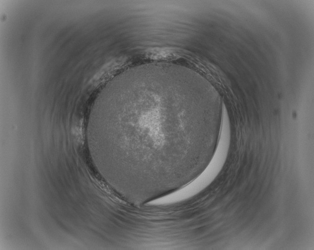 X0000084560510200703021427