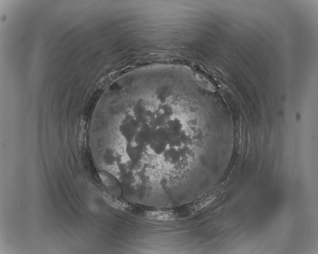 X0000084560511200703021427