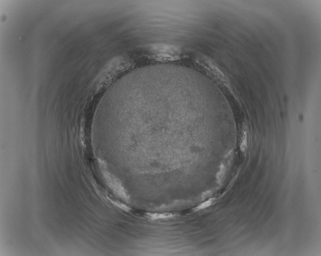 X0000084560512200703021427