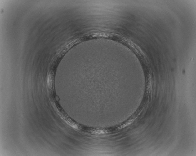 X0000084560513200703021427