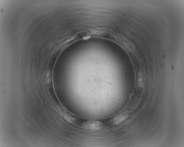 X0000084560514200703021427