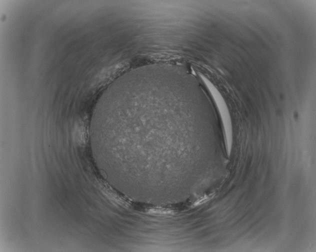 X0000084560515200703021427