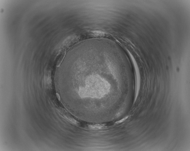 X0000084560516200703021427