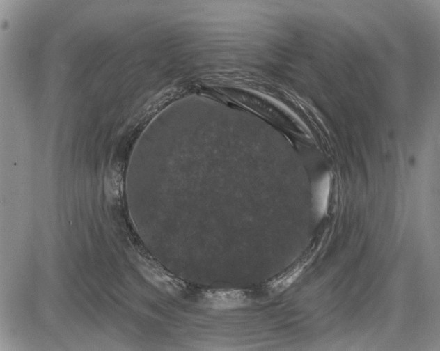 X0000084560517200703021427