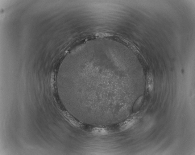 X0000084560519200703021427