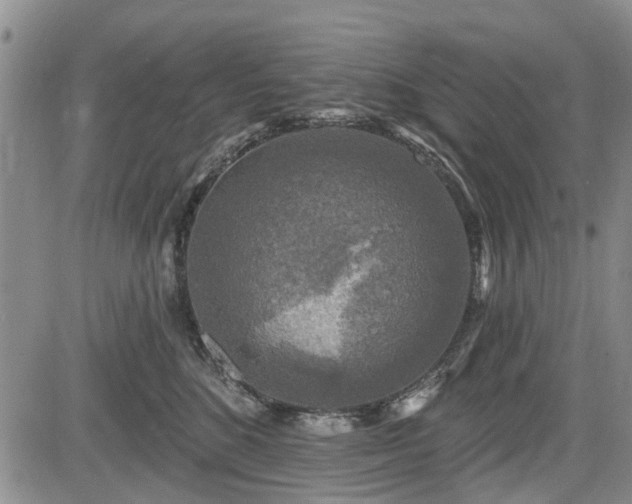 X0000084560520200703021427