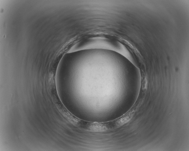 X0000084560521200703021427