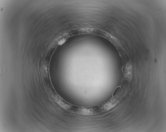 X0000084560522200703021427