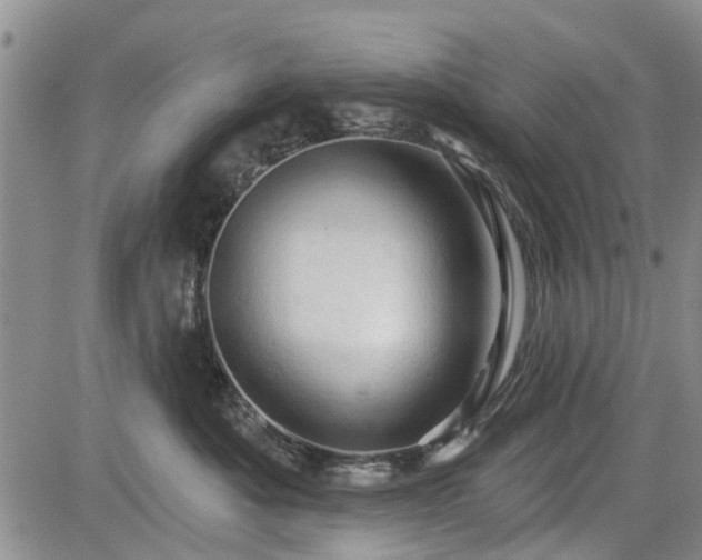 X0000084560525200703021427