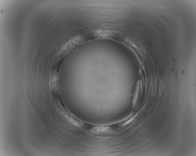 X0000084560526200703021427