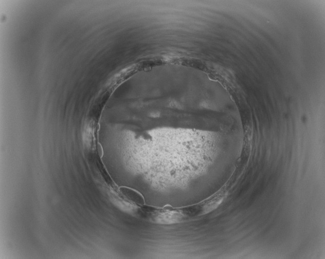 X0000084560527200703021427