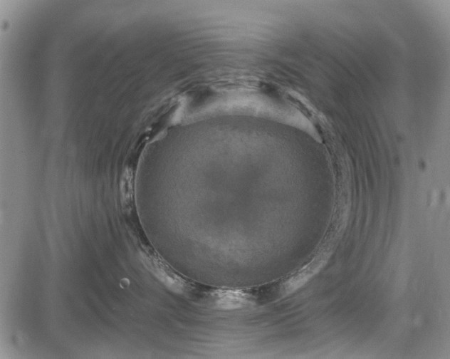 X0000084560528200703021426