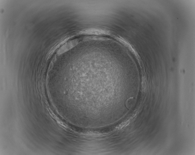 X0000084560529200703021426