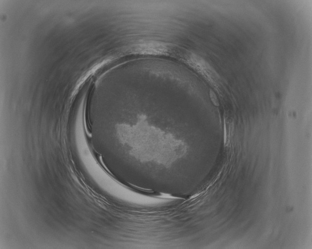 X0000084560531200703021426