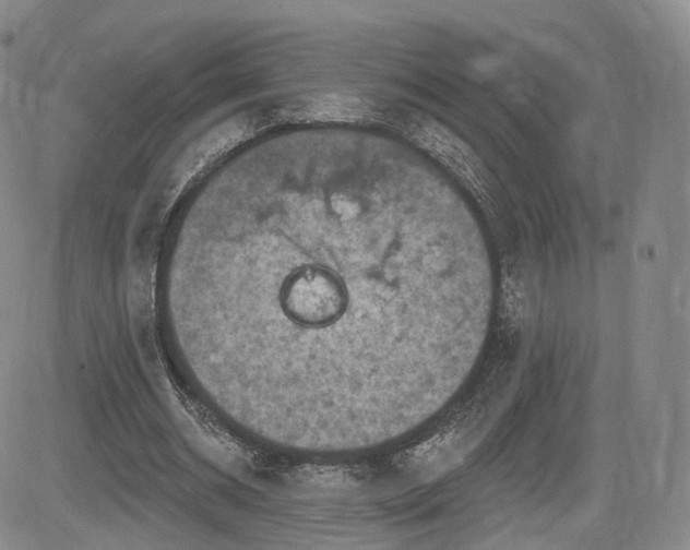 X0000084560534200703021426