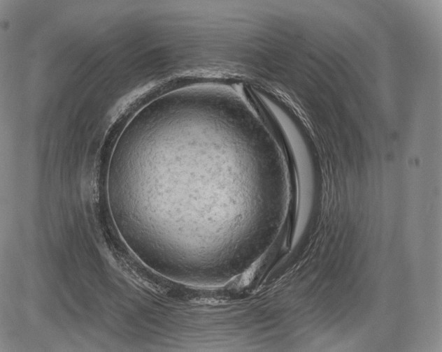 X0000084560536200703021426