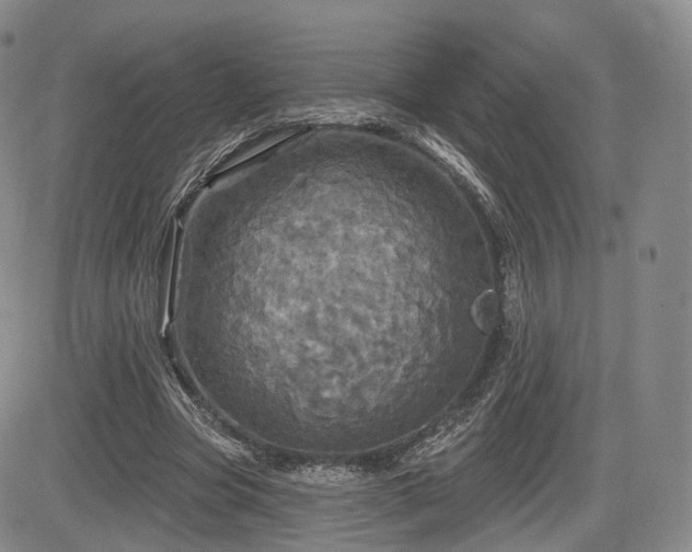 X0000084560537200703021426