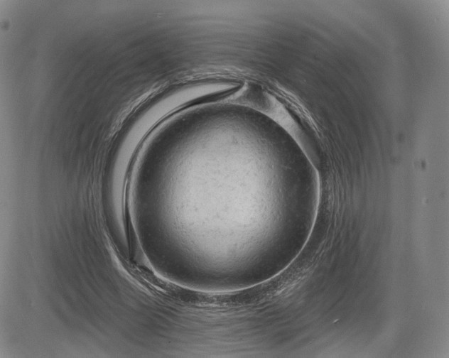 X0000084560538200703021426