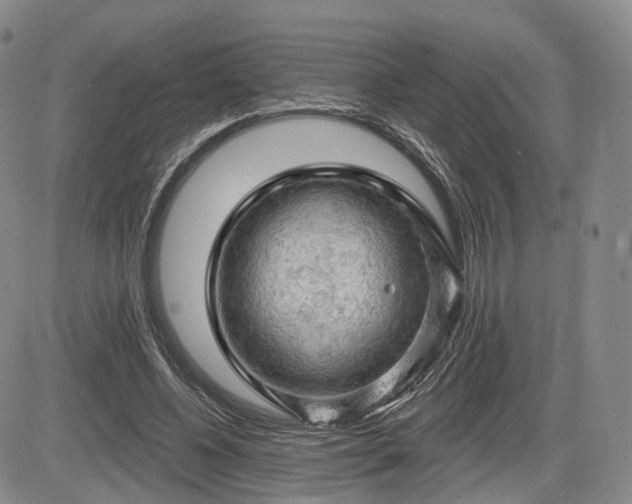 X0000084560540200703021426