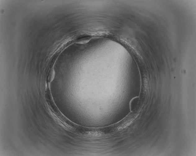 X0000084560541200703021426