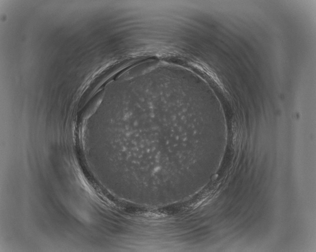 X0000084560542200703021426