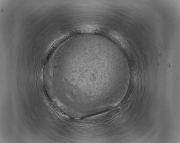 X0000084560543200703021426