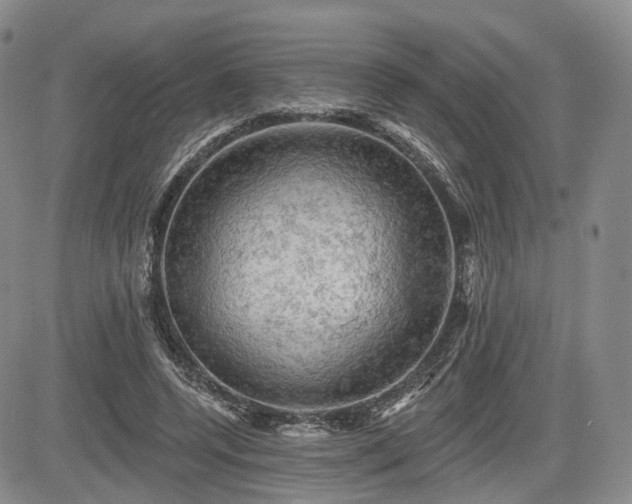 X0000084560544200703021426