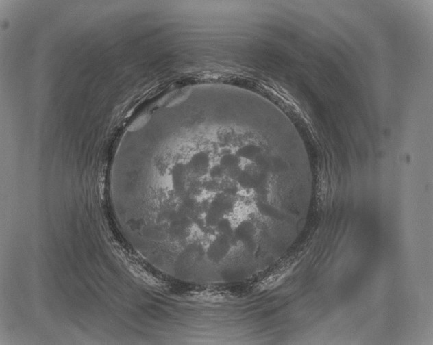 X0000084560545200703021426