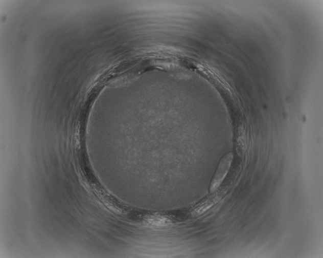 X0000084560547200703021426