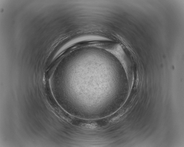 X0000084560548200703021426