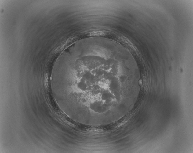 X0000084560549200703021426