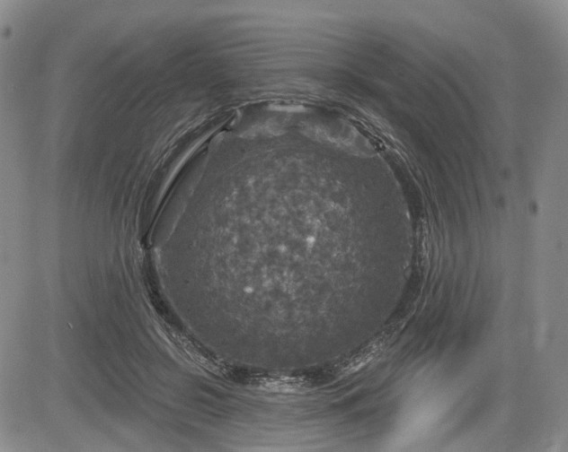 X0000084560550200703021426