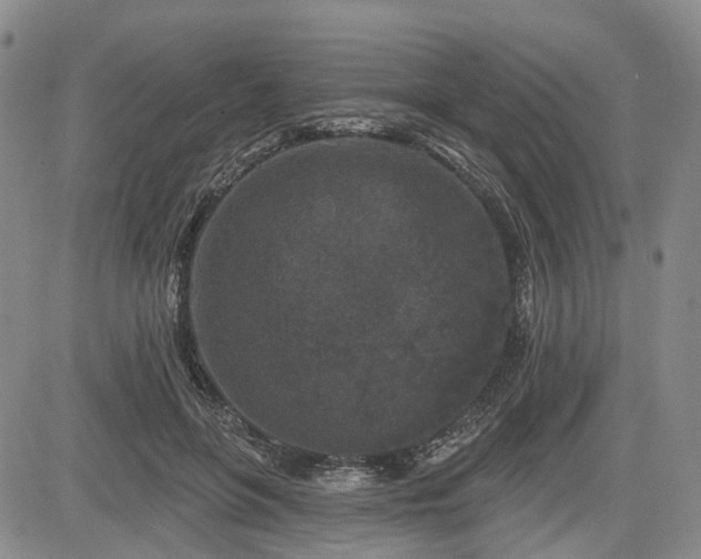 X0000084560551200703021426