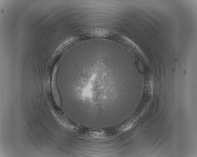 X0000084560552200703021426